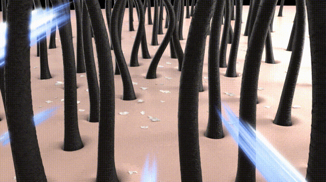 640 (1).gif